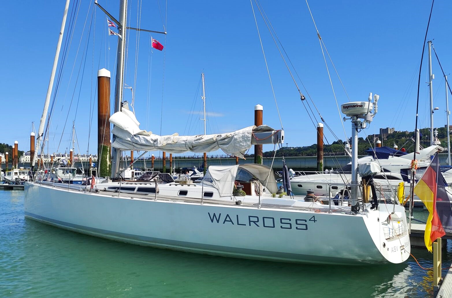Commodore Cup Walross 4