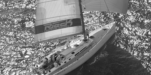 walross luftaufnahme 1